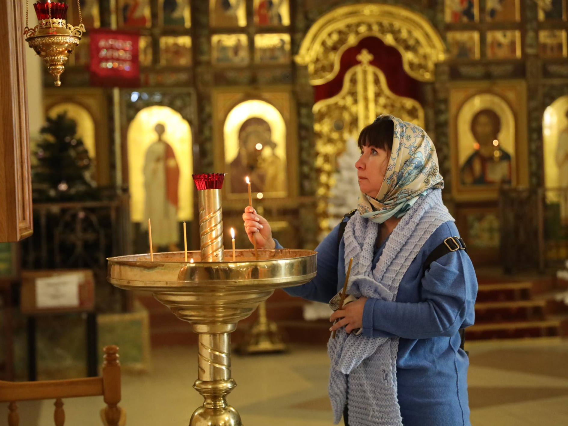 Фото: Раменский медиацентр