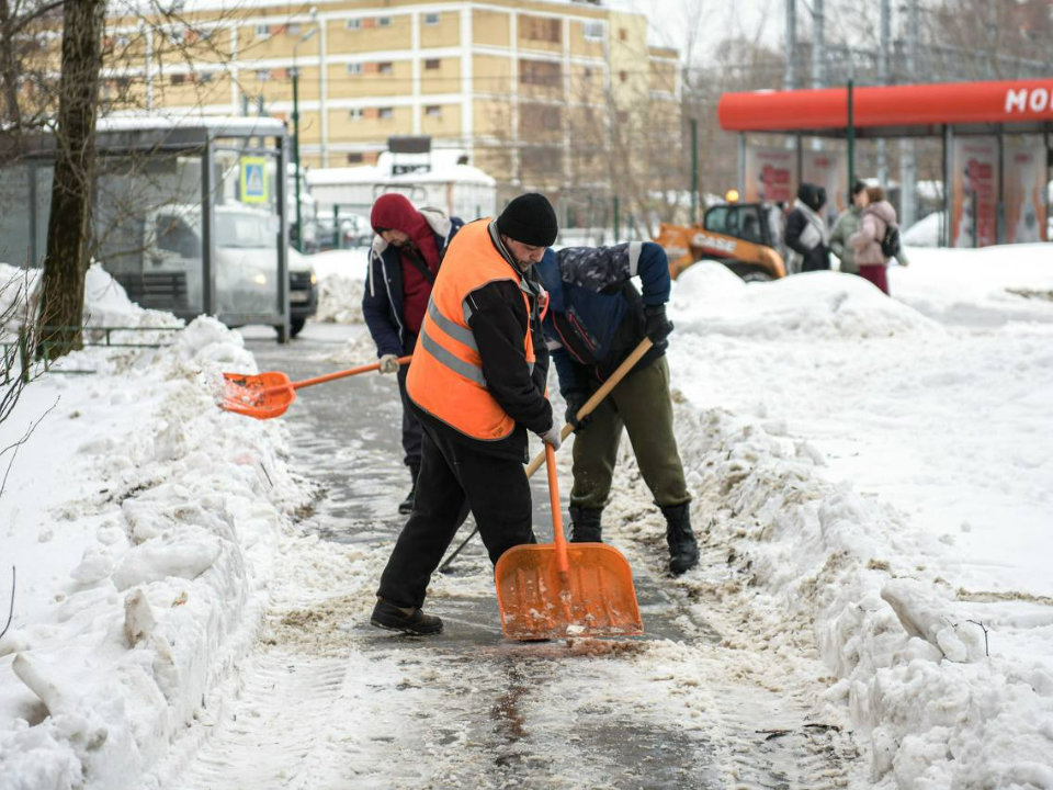 Фото: пресс-служба администрации г.о. Химки