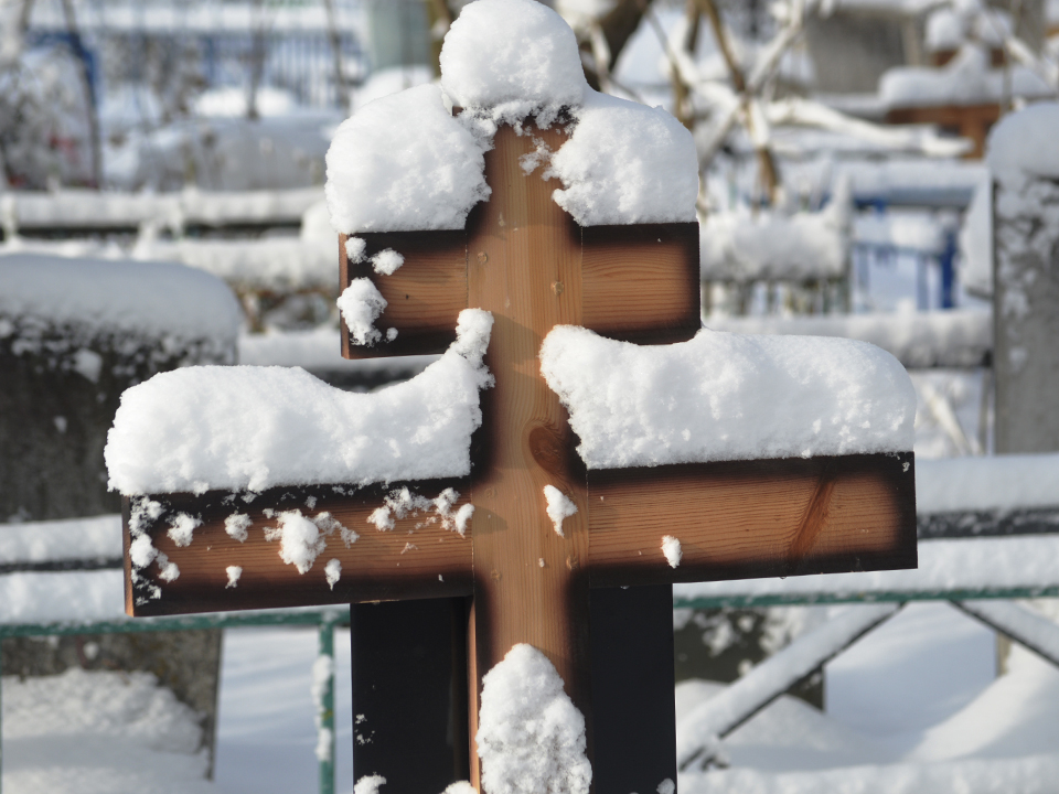 Фото: istockphoto.com/Svetlana Dyachkova