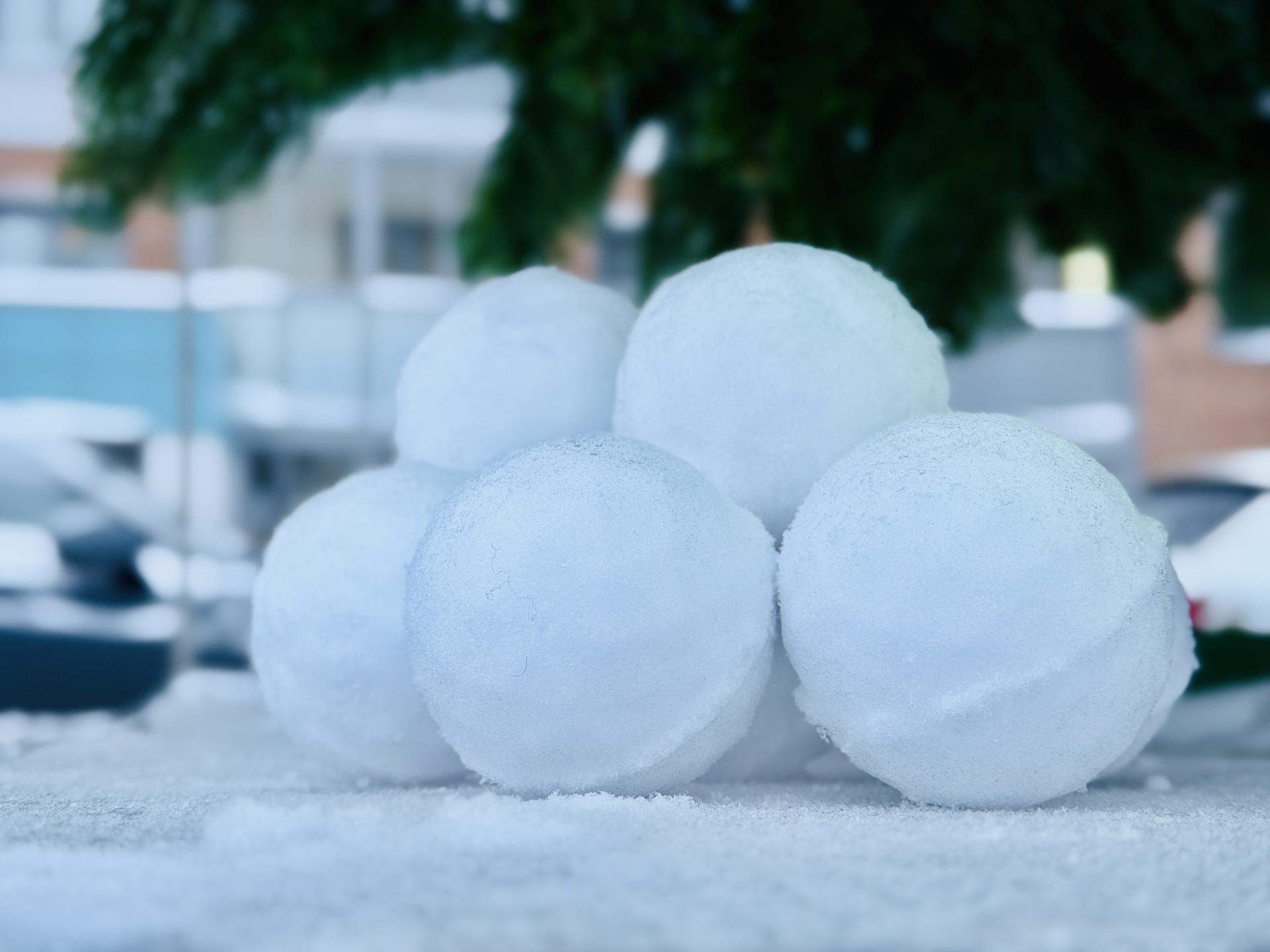 Фото: МедиаБанк Подмосковья/Ольга Стаферова