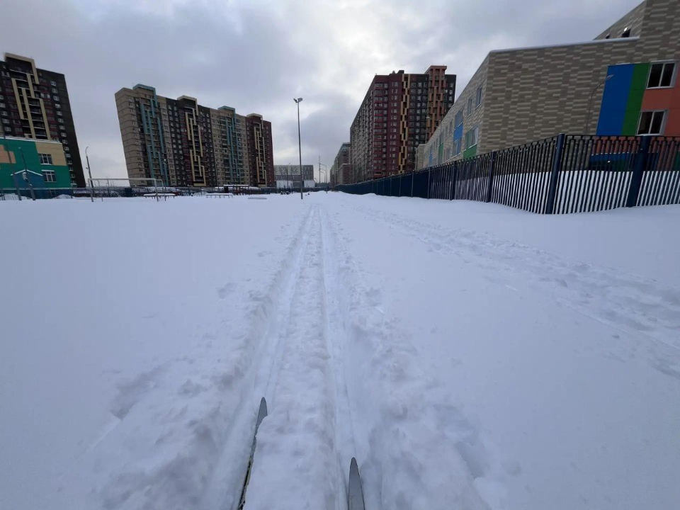 Фото: администрация г.о. Люберцы