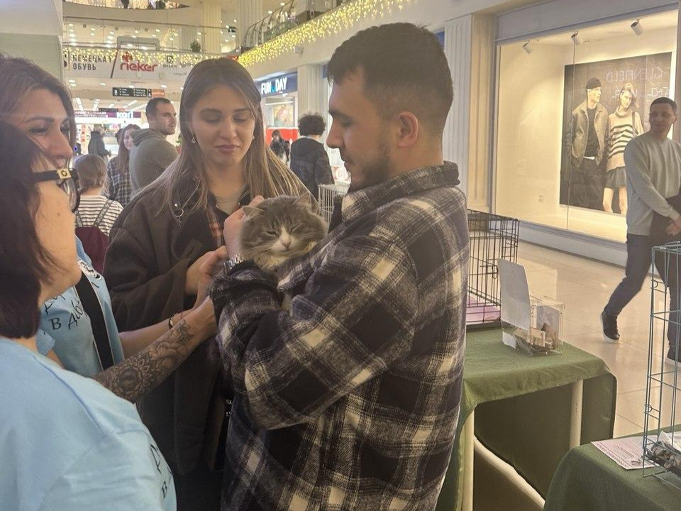 Фото: пресс-служба администрации г.о. Люберцы