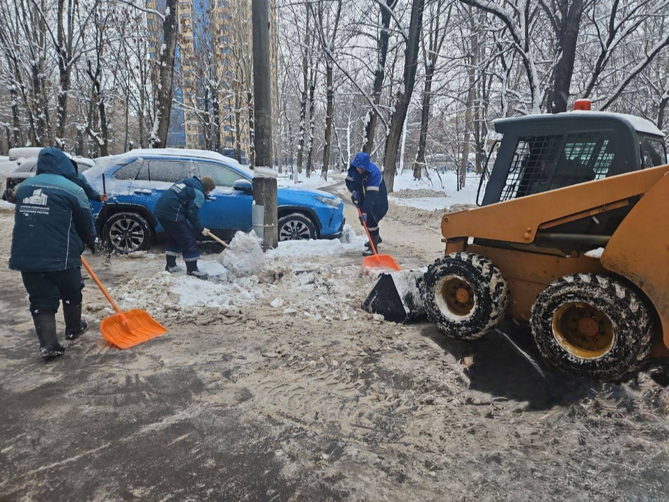 Фото: администрация г.о. Реутов
