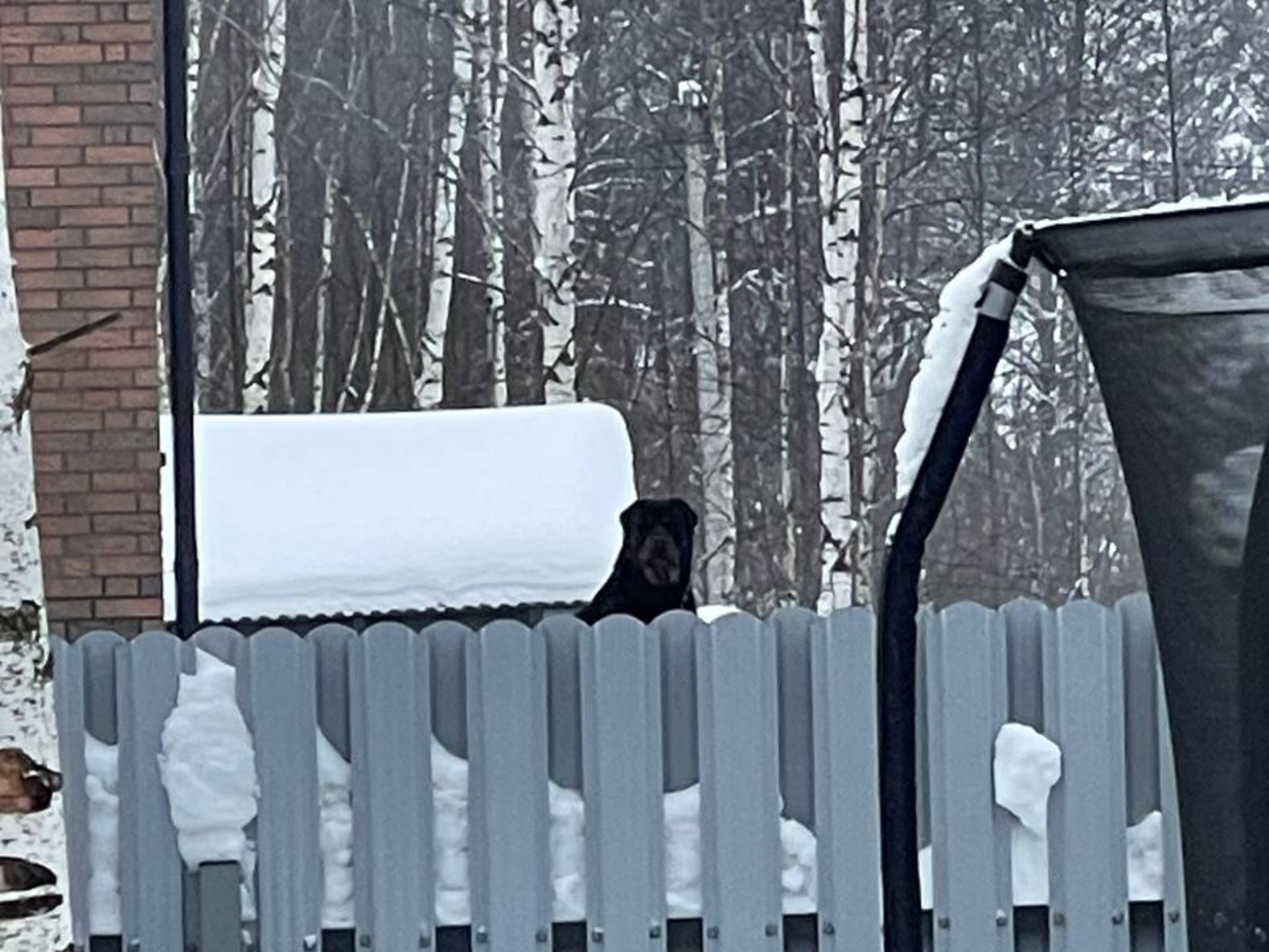 Фото: Денис Г.