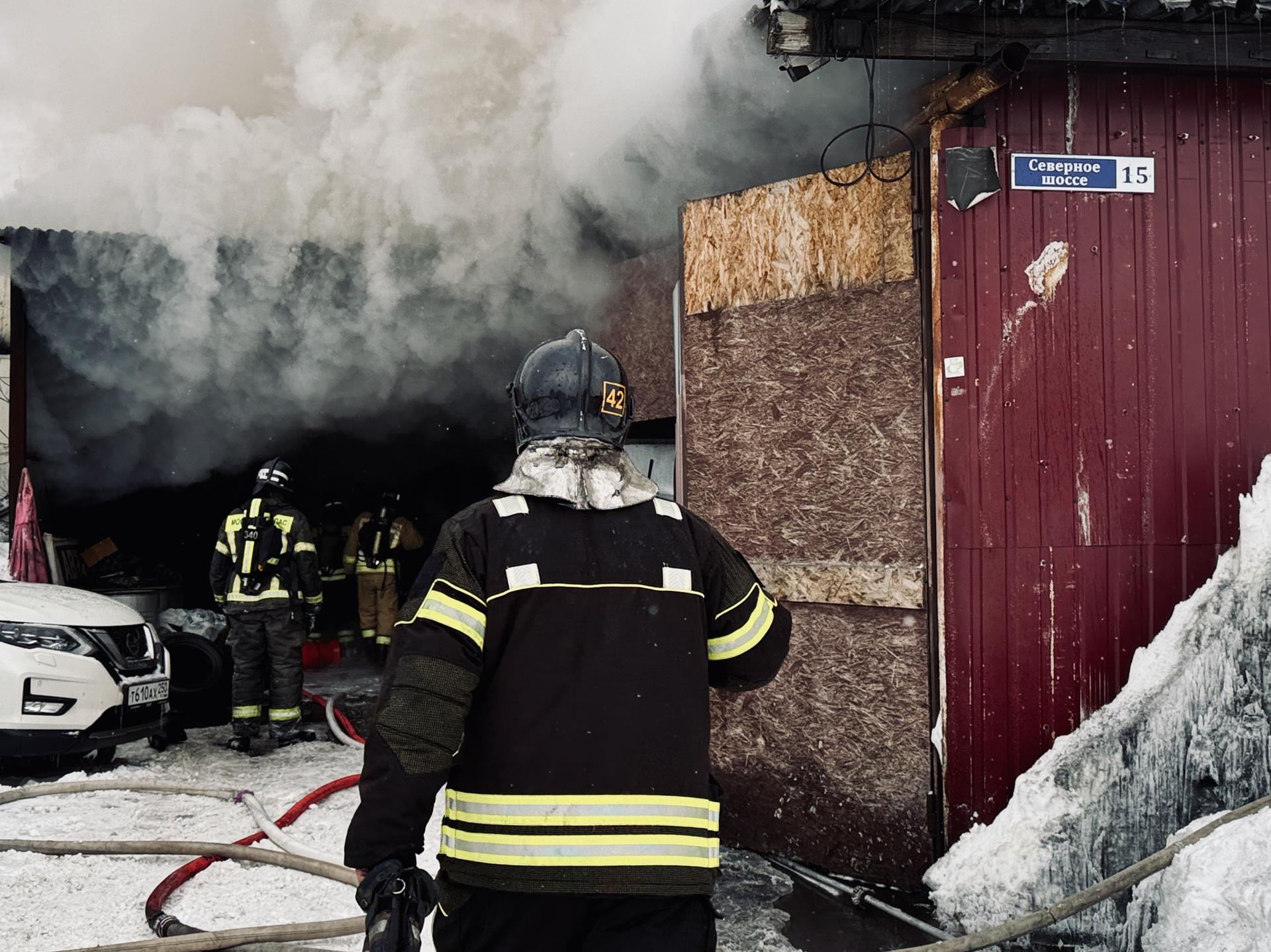 Фото: МедиаБанк Подмосковья/Ольга Стаферова