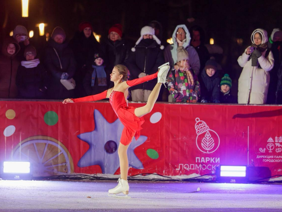 Фото: пресс-служба администрации г. о. Подольск