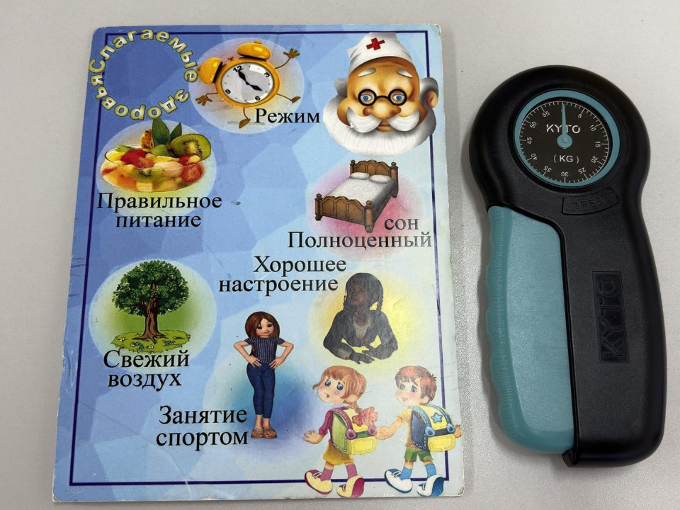 Фото: МедиаБанк Подмосковья/Анна Нестерова