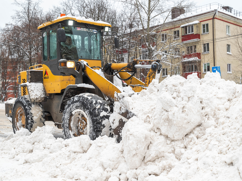Фото: Ирина Зубарева