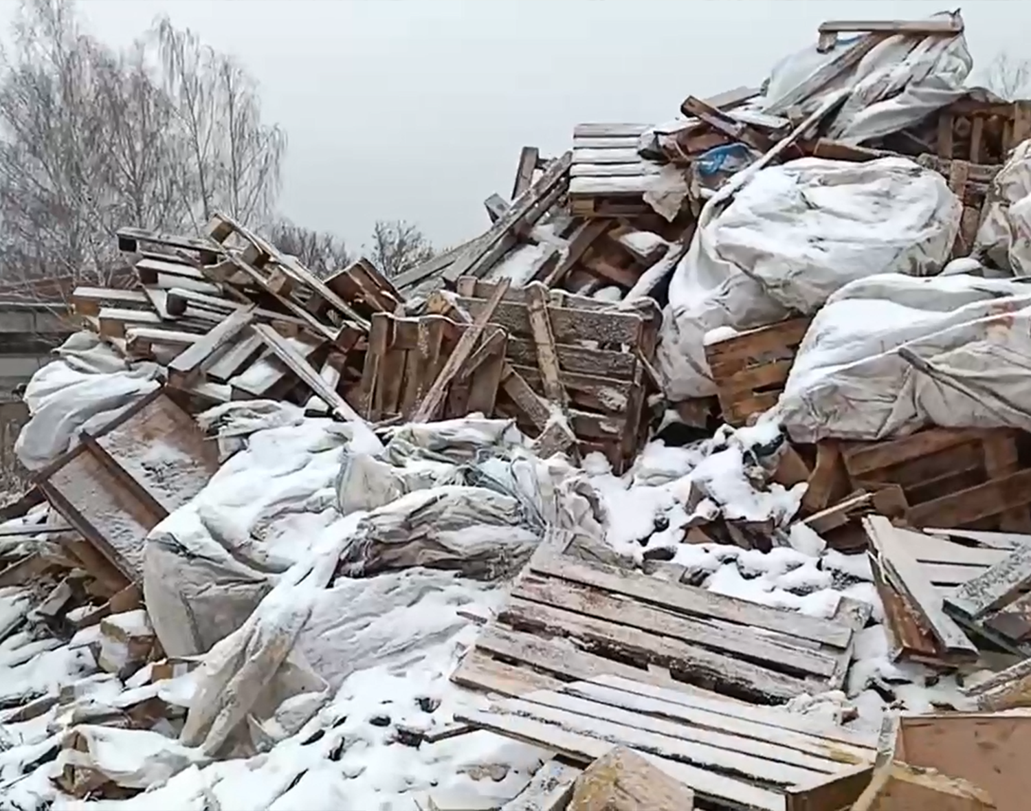 Фото: пресс-служба администрации м.о. Зарайск