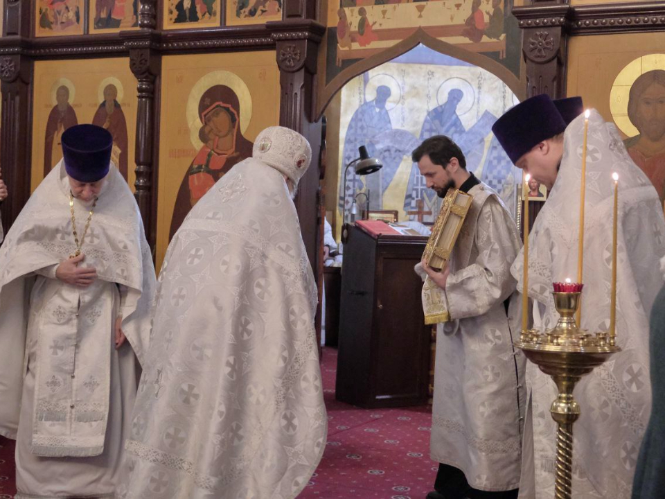 Фото: t.me/krasnogorsk_official