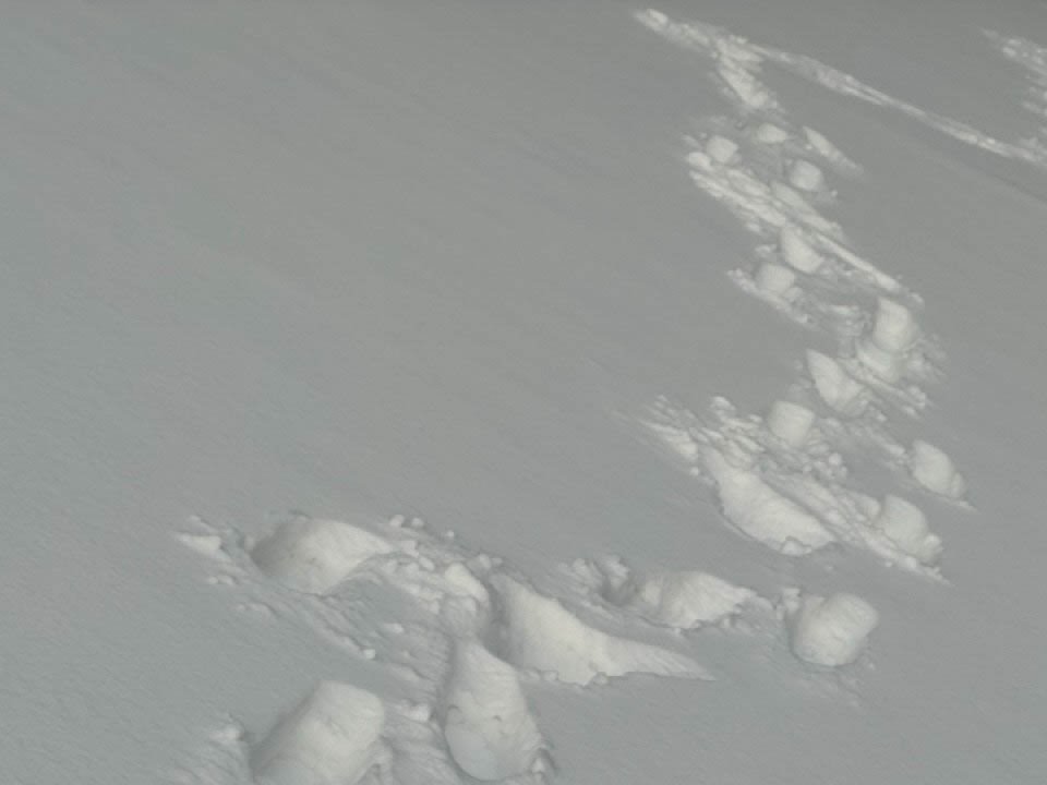 Фото: REGIONS/Владимир Ерастов