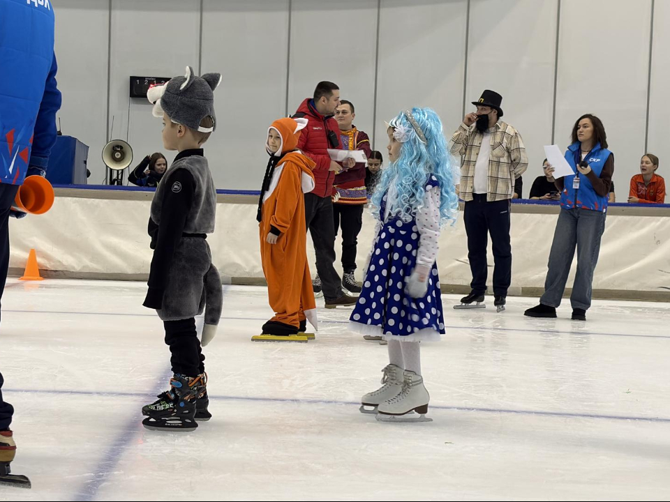 Фото: МедиаБанк Подмосковья/Анна Нестерова