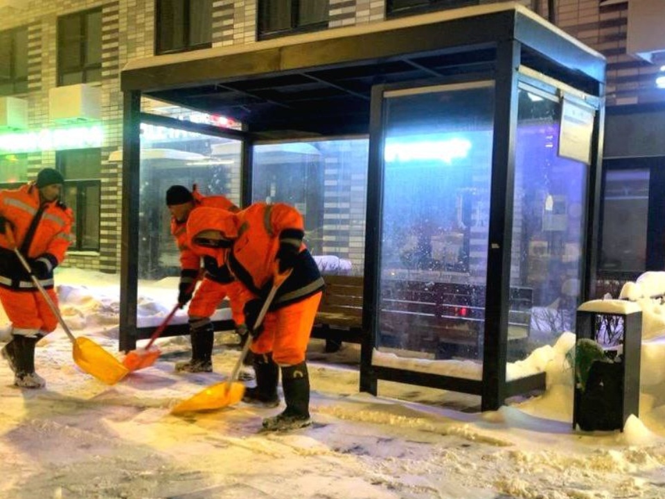 Фото: пресс-служба администрации г. о. Красногорск