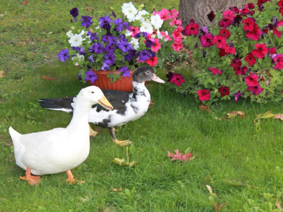 Фото: REGIONS/Илья Попов