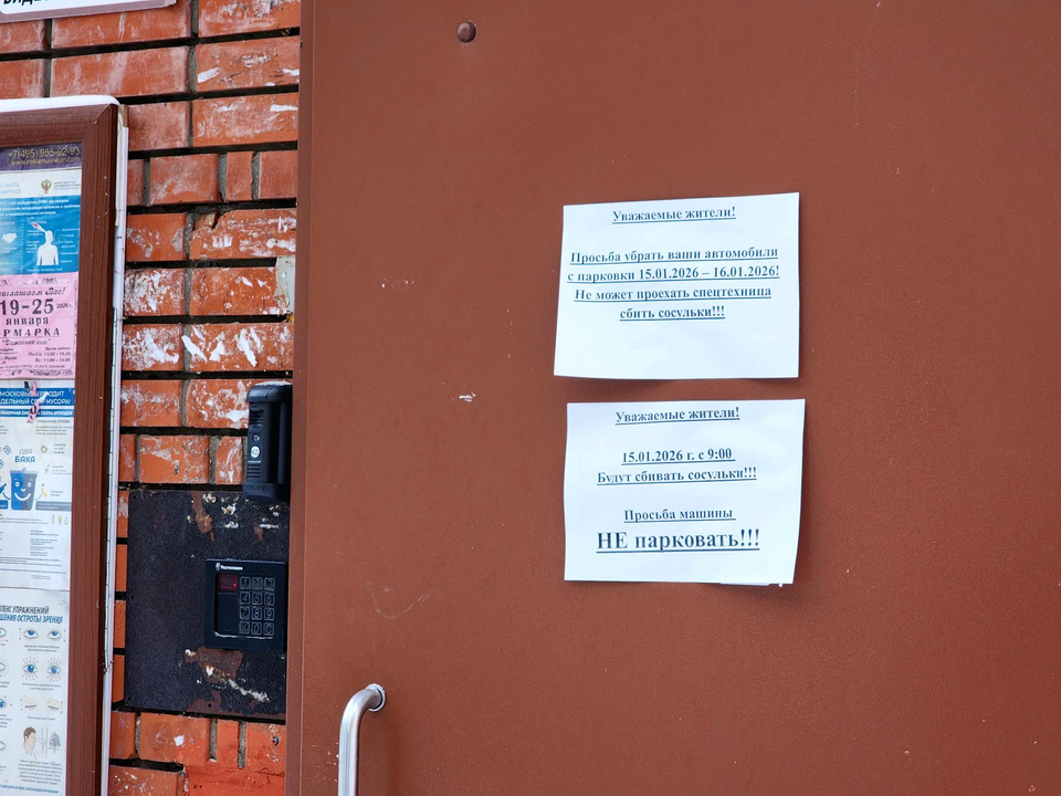 Фото: Мария Овчинникова