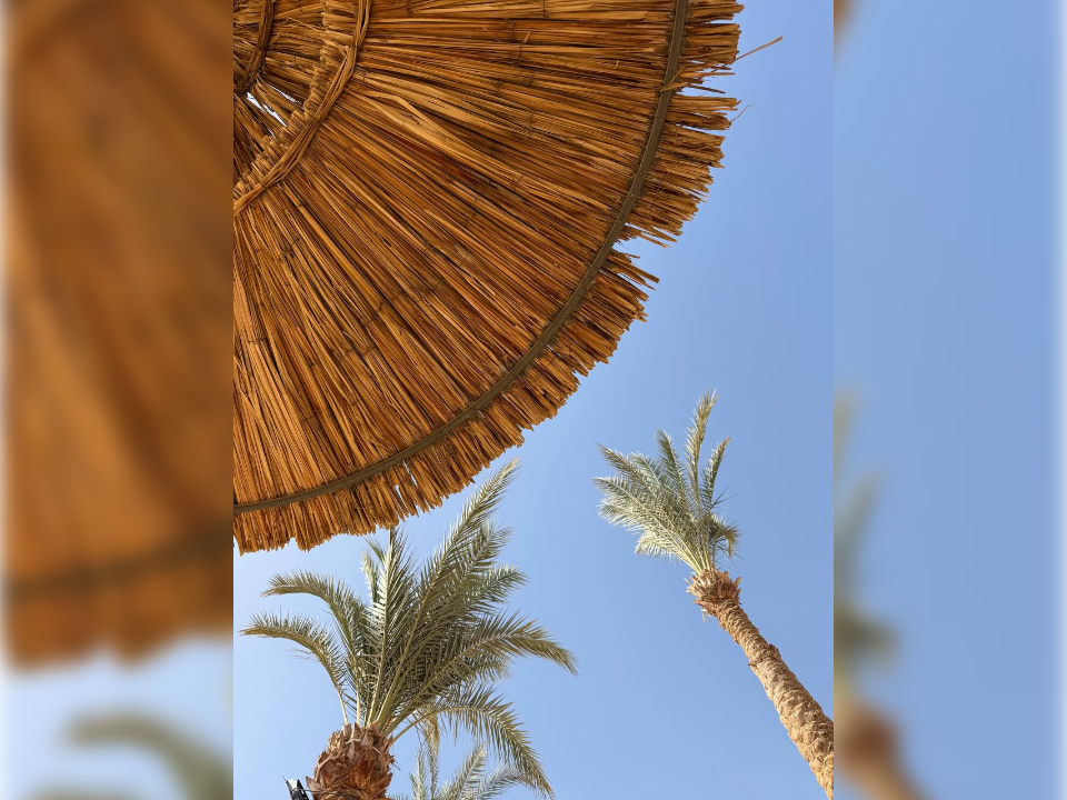 Фото: REGIONS/Елена Фурман