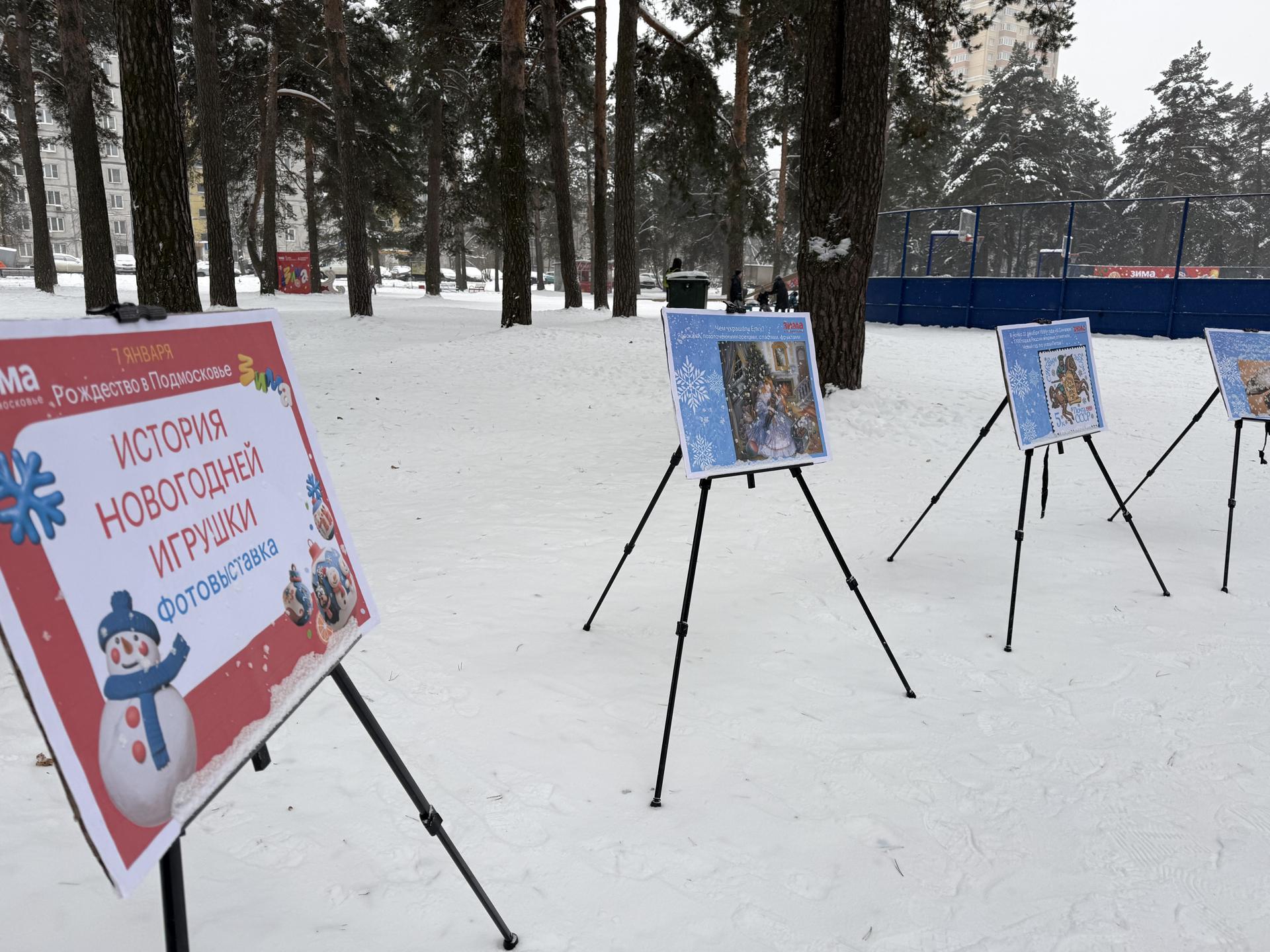 Фото: МедиаБанк Подмосковья/Анна Дука