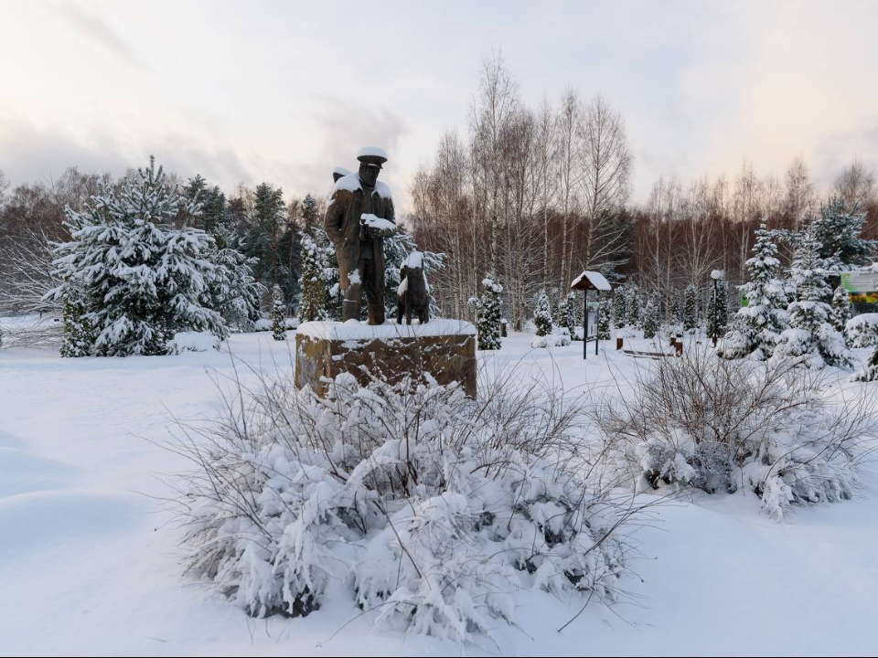 Фото: пресс-служба нацпарка «Лосиный остров»