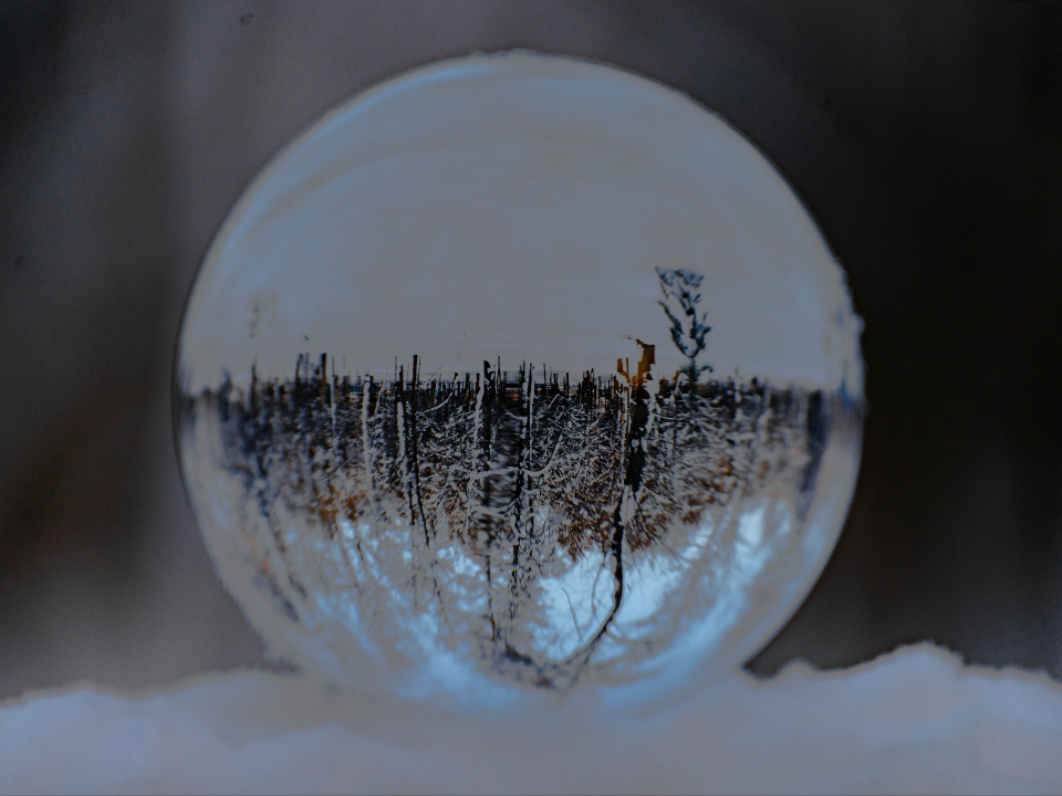 Фото: личный архив Дмитрия Снеткова