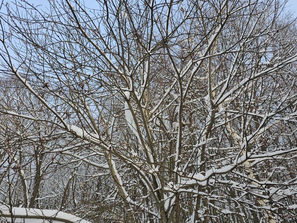 Фото: istockphoto.com/Mirel Kipioro