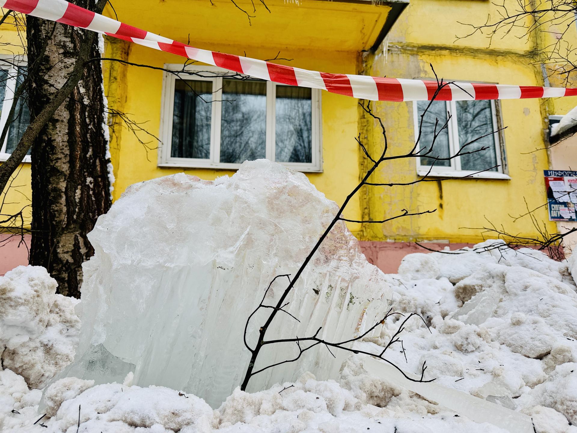 Фото: МедиаБанк Подмосковья/Ольга Стаферова