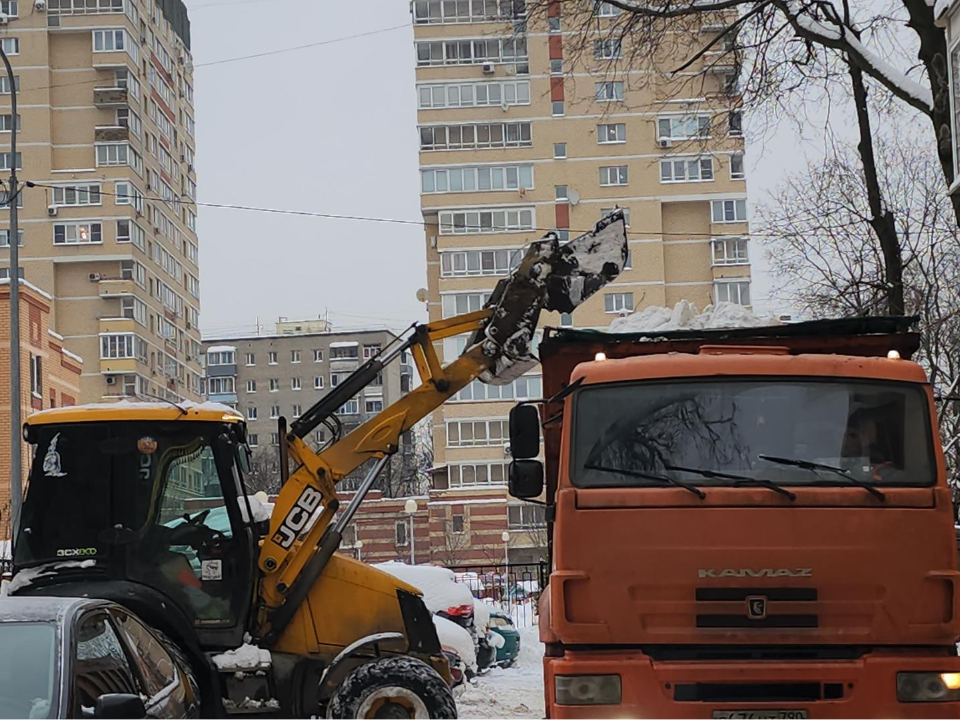 Фото: МедиаБанк Подмосковья/Наталья Лымарь