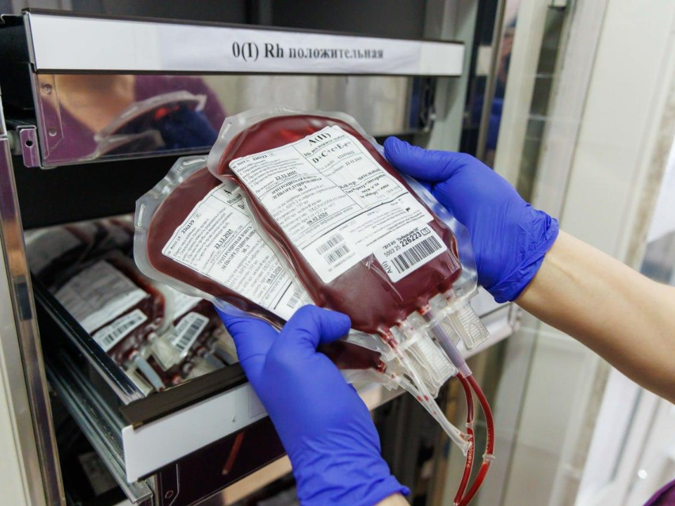 Фото: МедиаБанк Подмосковья/Наталья Лымарь