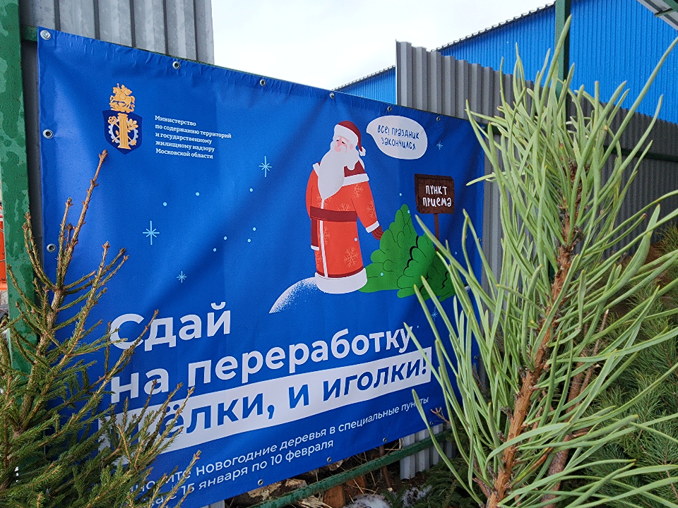 Фото: МедиаБанк Подмосковья/Валерия Тингаева