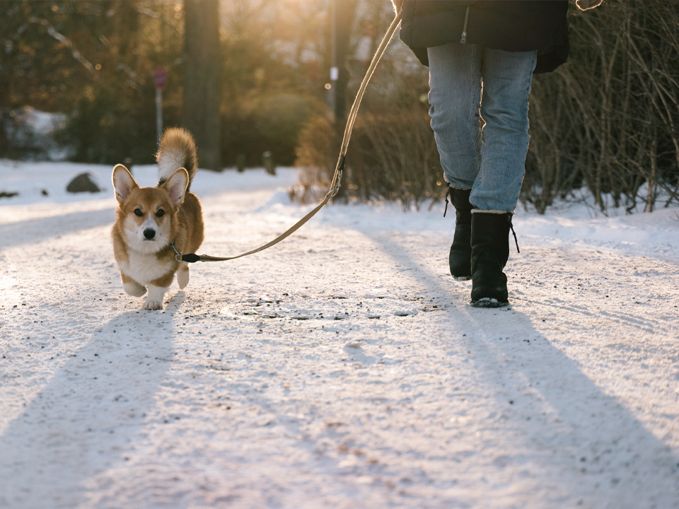Фото: istockphoto.com/fotografixx 
