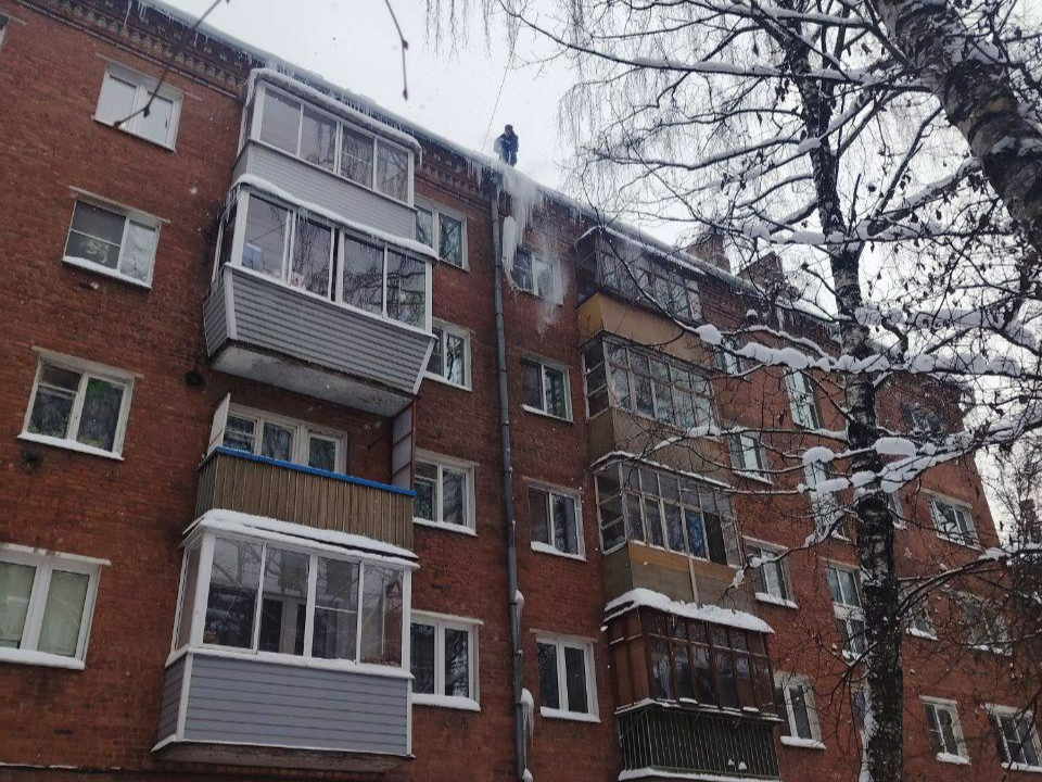 Фото: пресс-служба администрации г.о. Химки