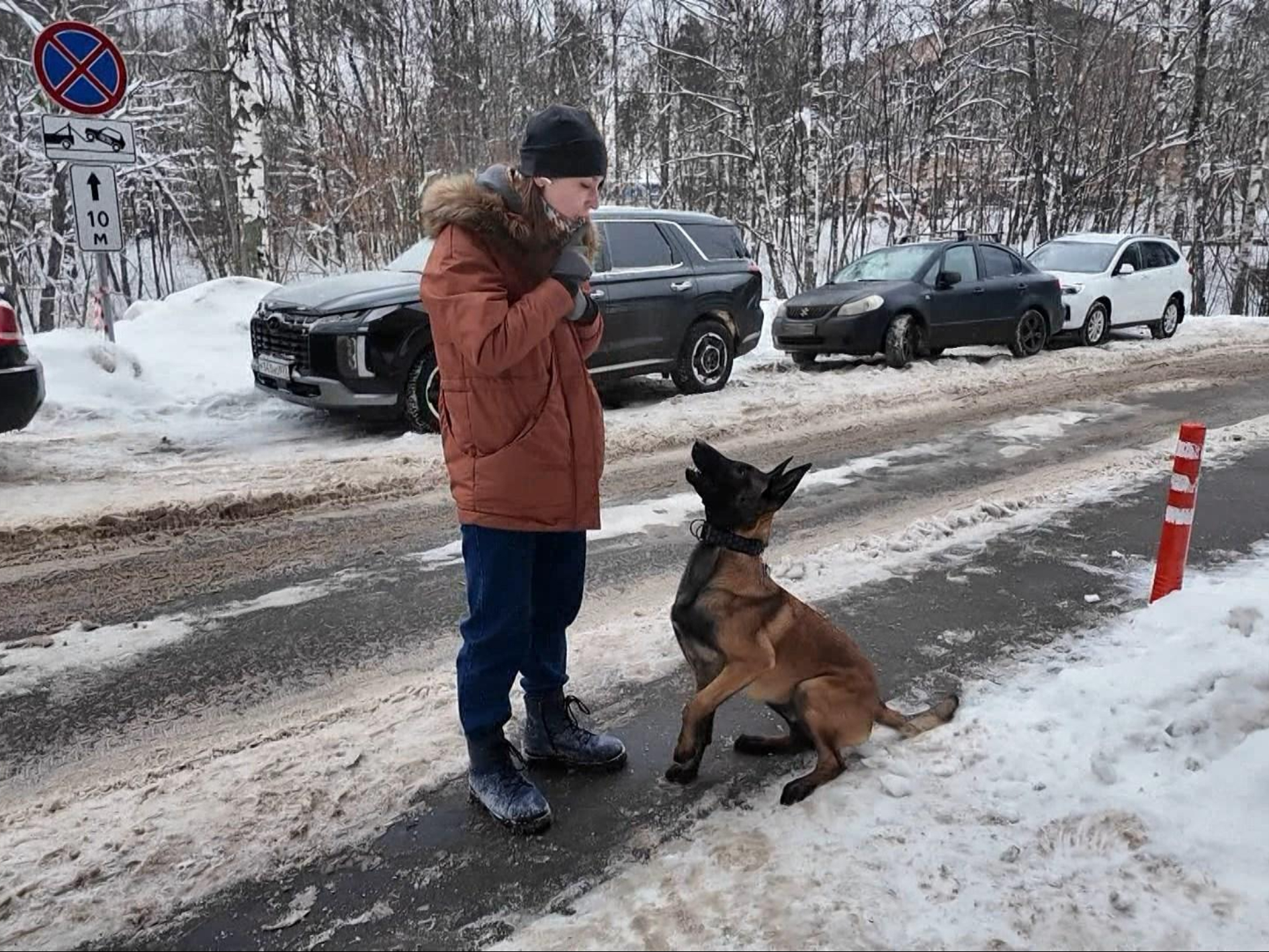 Фото: Раменский медиацентр