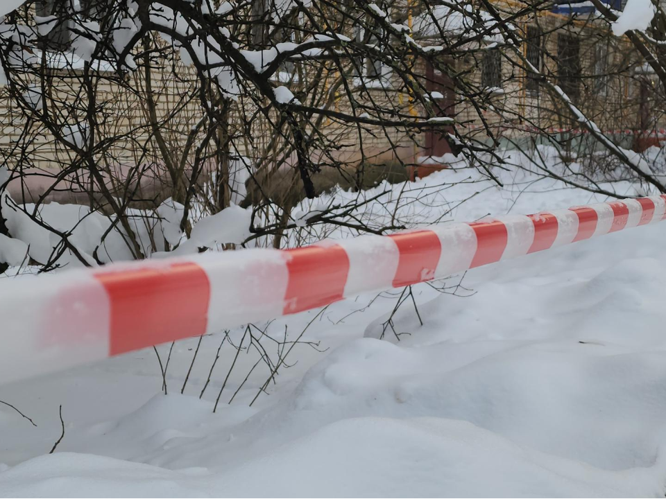Фото: МедиаБанк Подмосковья/Артем Мишуков