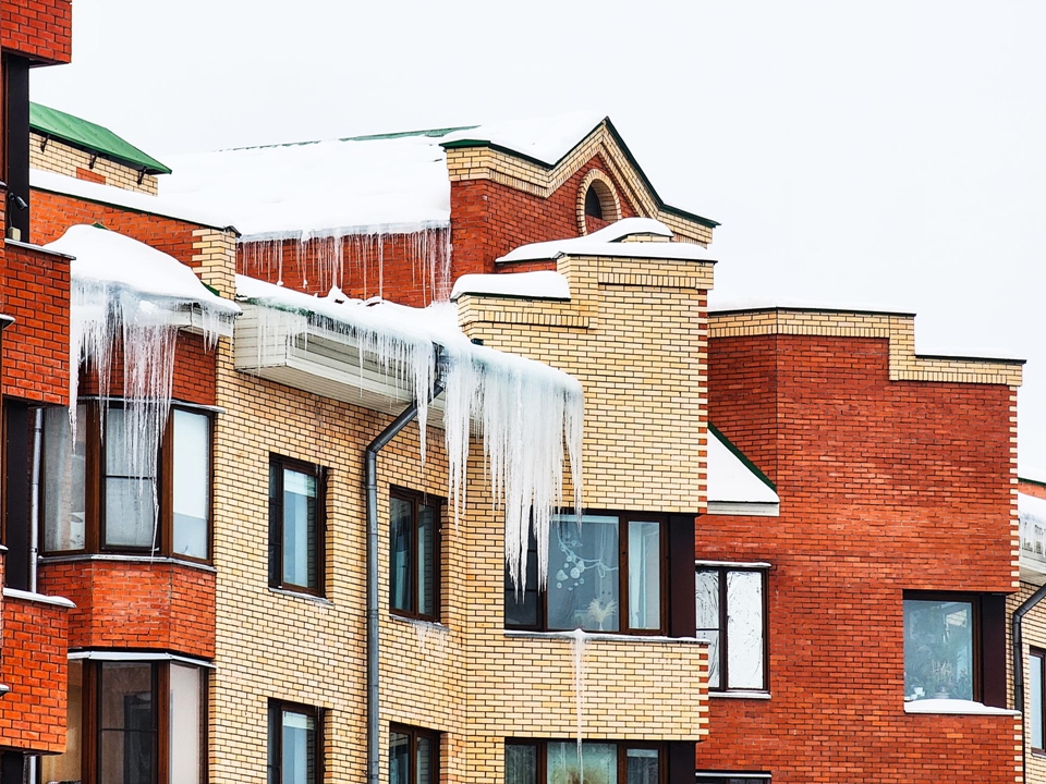 Фото: REGIONS/Мария Панина