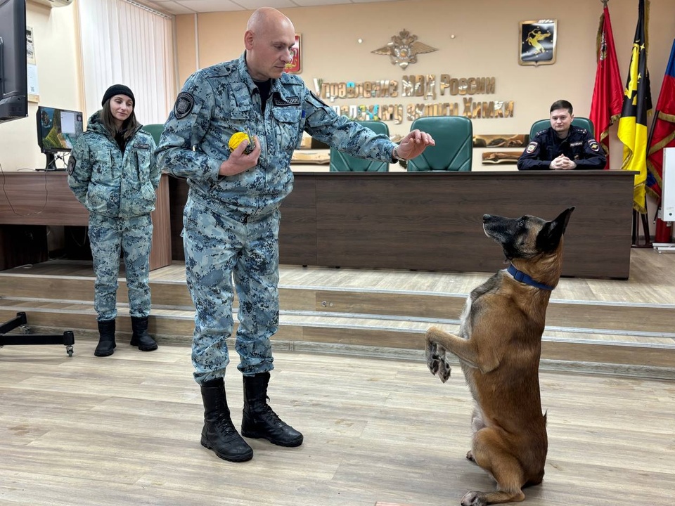 Фото: УМВД России по г.о. Химки  