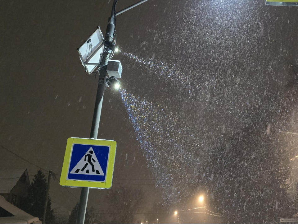 Фото: МедиаБанк Подмосковья/Марина Анисимова