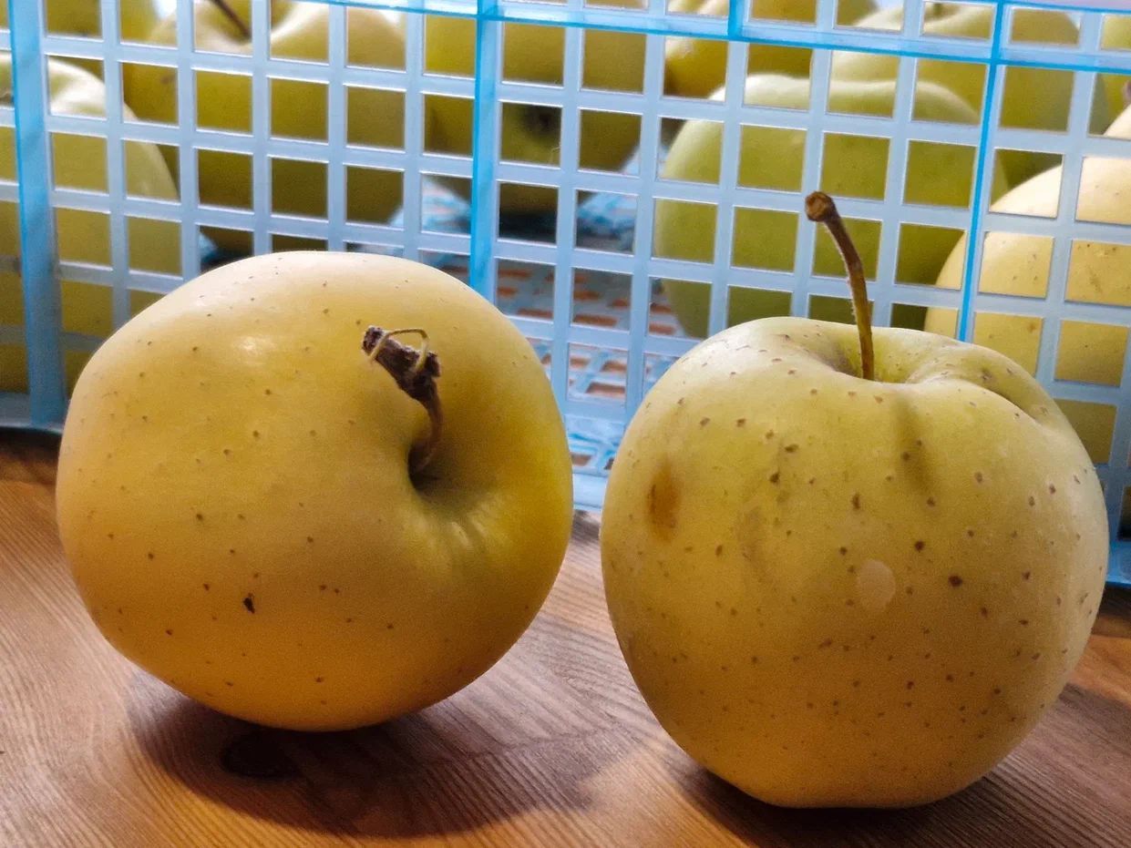 Фото: REGIONS/Наталия Надточая