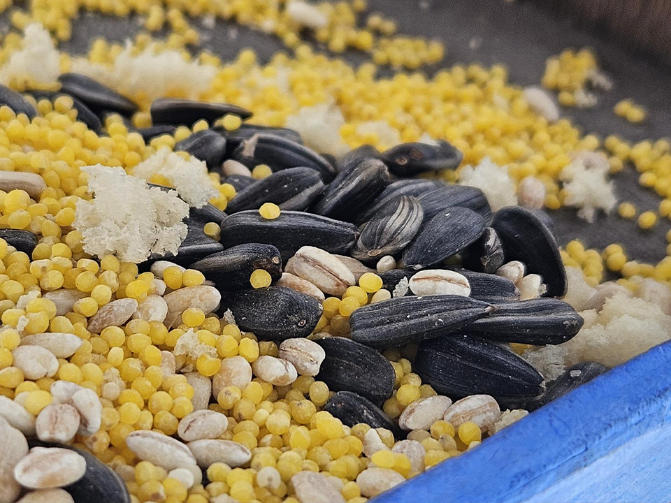 Фото: МедиаБанк Подмосковья/Вероника Горбачева