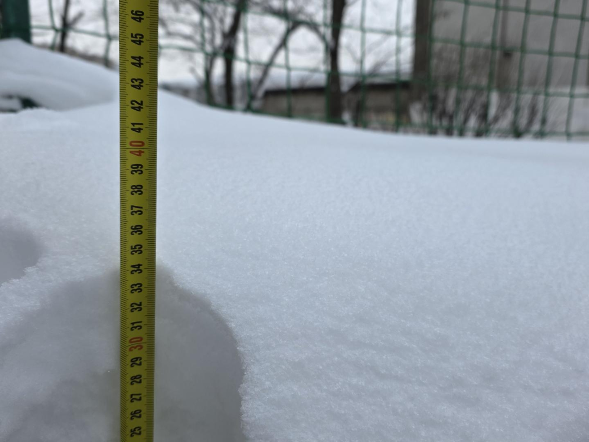 Фото: МедиаБанк Подмосковья/Мария Юдина