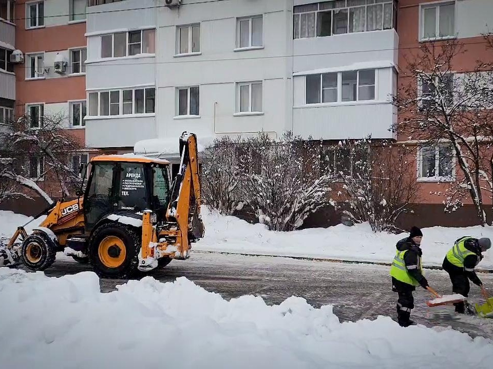 Фото: МедиаБанк Подмосковья/Ольга Антонова