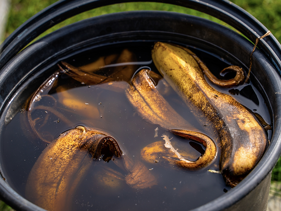 Фото: istockphoto.com/Vladyslav Varshavskiy