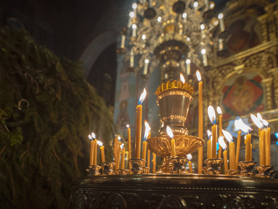 Фото: МедиаБанк Подмосковья/Наталия Надточая