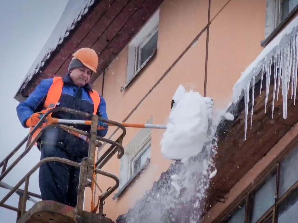 Фото: МедиаБанк Подмосковья/Ольга Антонова