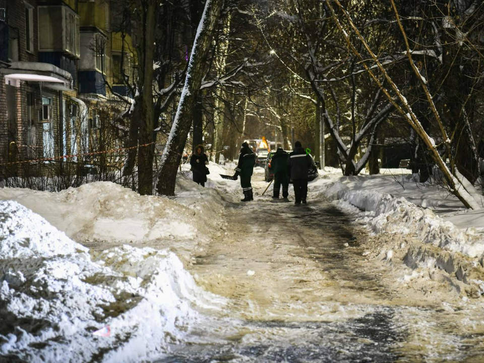 Фото: пресс-служба администрации г.о. Химки