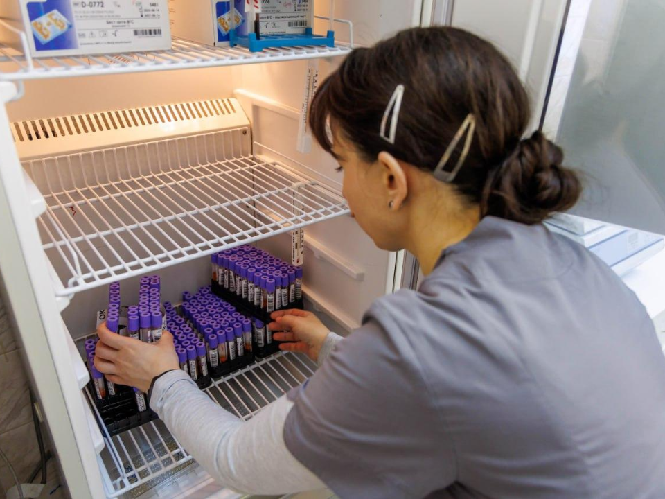 Фото: МедиаБанк Подмосковья/Наталья Лымарь