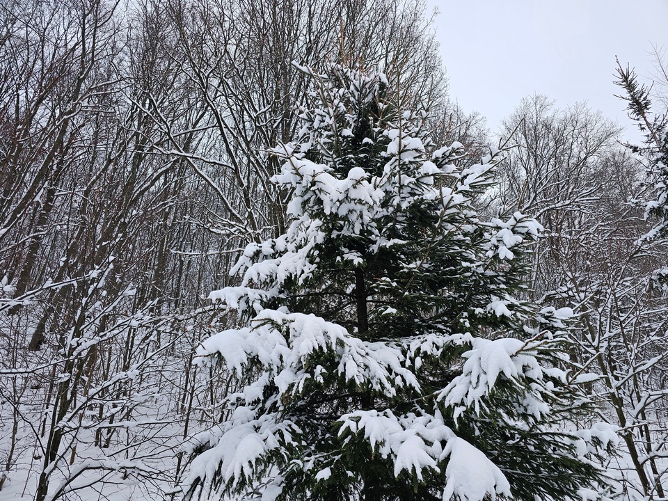 Фото: REGIONS/Александр Дрожжин