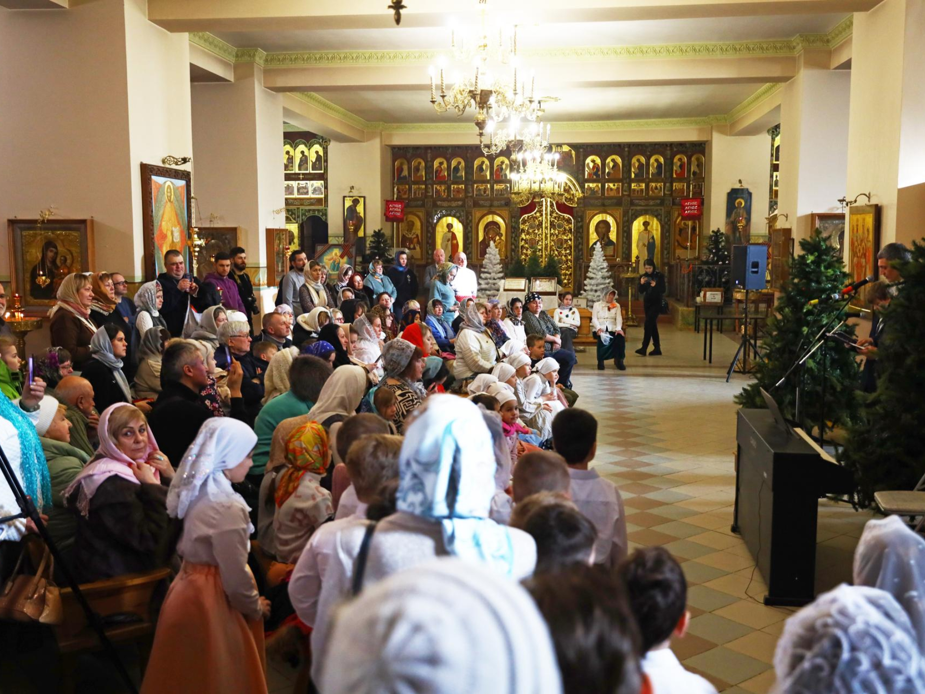 Фото: Раменский медиацентр