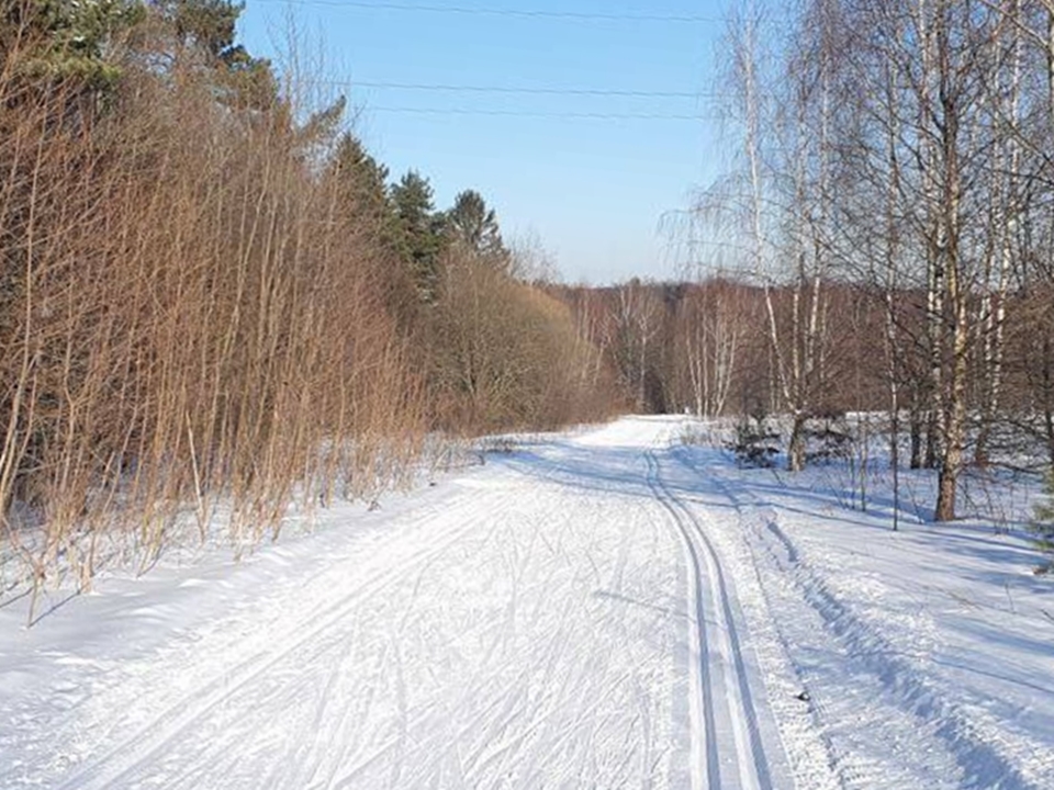 Фото: пресс-служба администрации м.о. Чехов