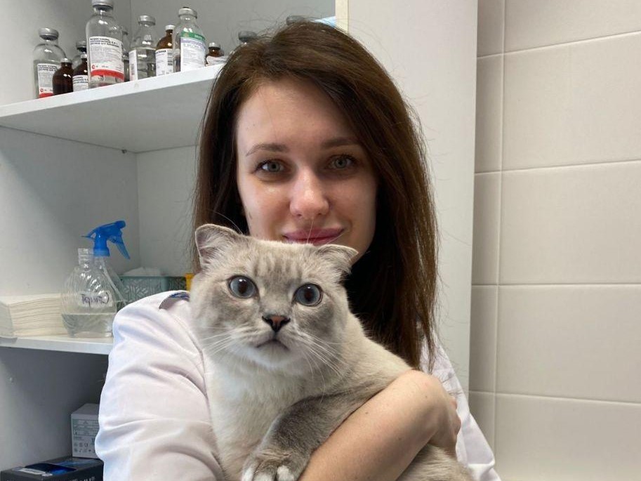 Кот Тиша обрел новых заботливых хозяев благодаря ветеринарам Сергиева Посада