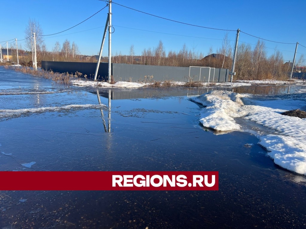 Сотрудники МЧС откачивают воду в затопленной деревне Евсеево | REGIONS.RU /  Павловский Посад