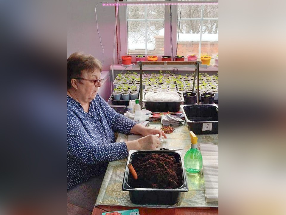 Для бронничан готовят спецкурс по садоводству и цветоводству